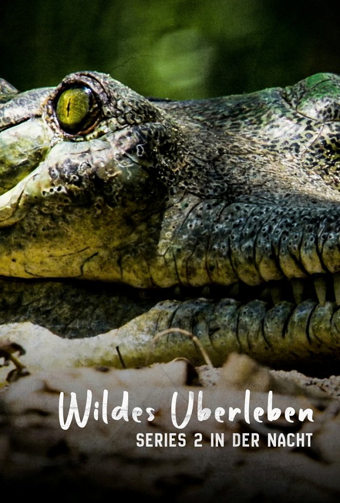 Wildes Überleben - Season 2 - Wildes Überleben - Out at Night - Plakate