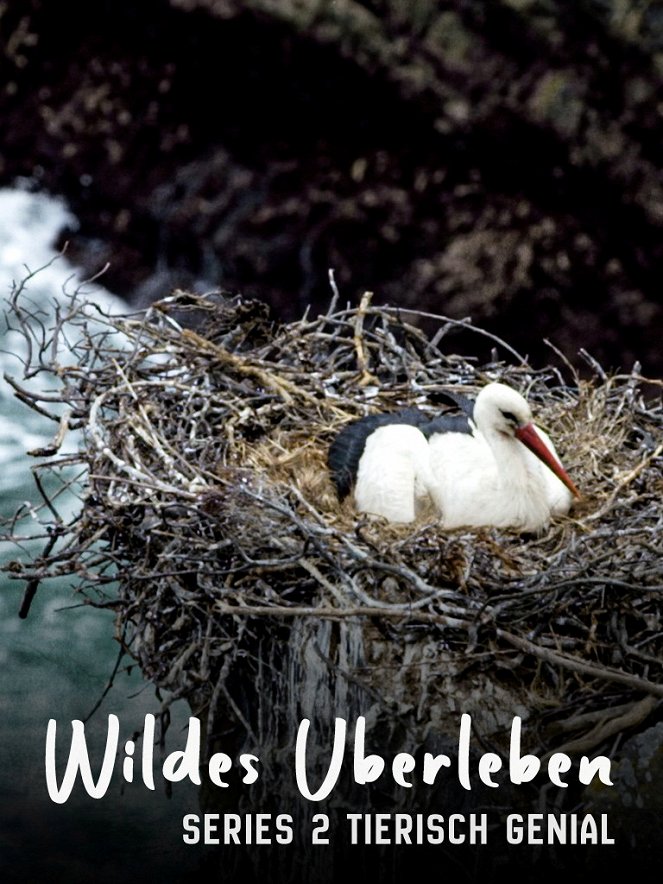 Wildes Überleben - Season 2 - Wildes Überleben - Ingenious Animals - Plakate