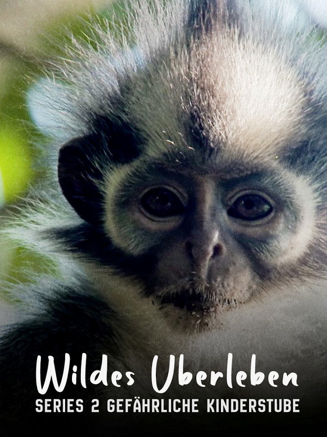 Wildes Überleben - Season 2 - Wildes Überleben - Challenges of Life - Plakate