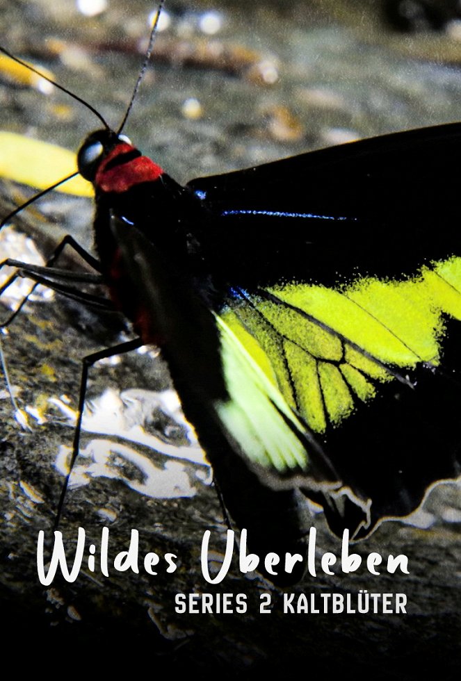 Wildes Überleben - Wildes Überleben - Cold Blooded Creatures - Plakate