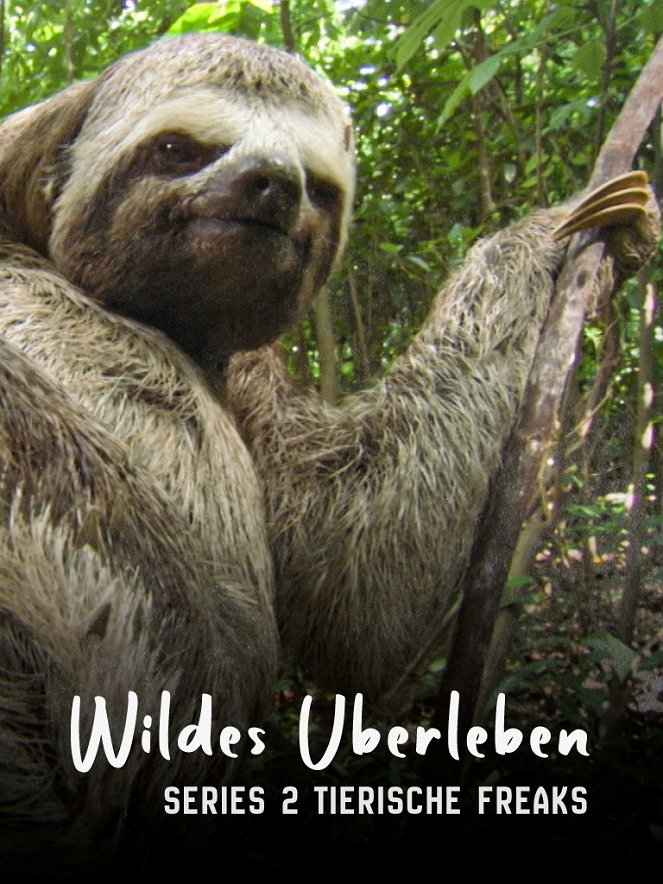 Wildes Überleben - Animal Oddities - Plakate