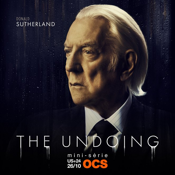 The Undoing - Affiches