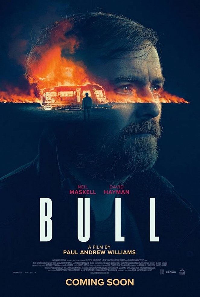 Bull - Posters