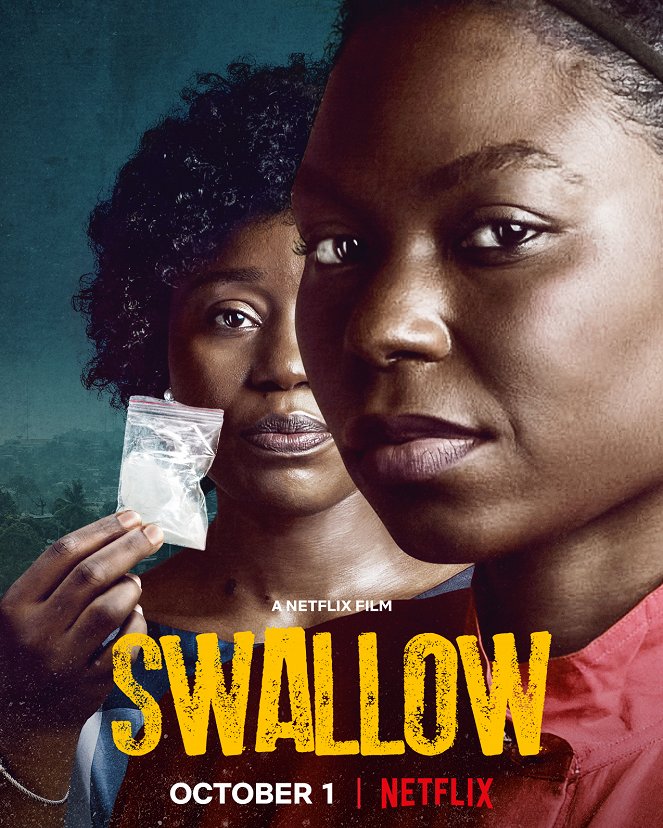 Swallow - Posters