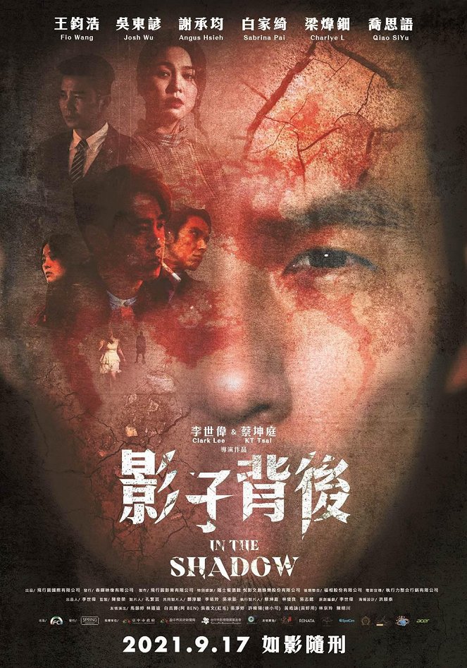 In the Shadow - Posters