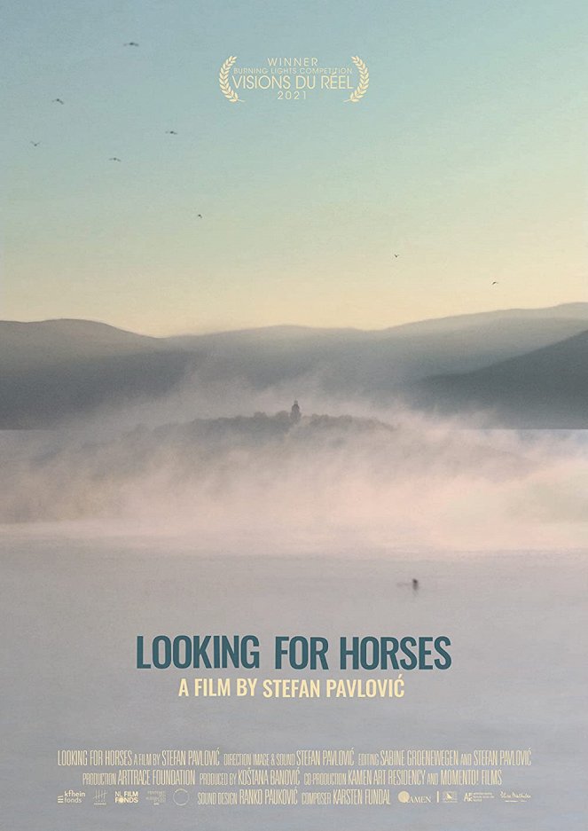 Hledání koní - Plagáty