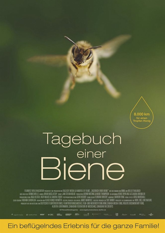 Tagebuch einer Biene - Plakate