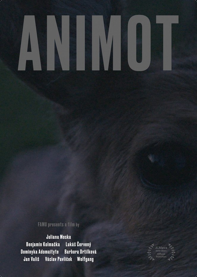 Animot - Posters