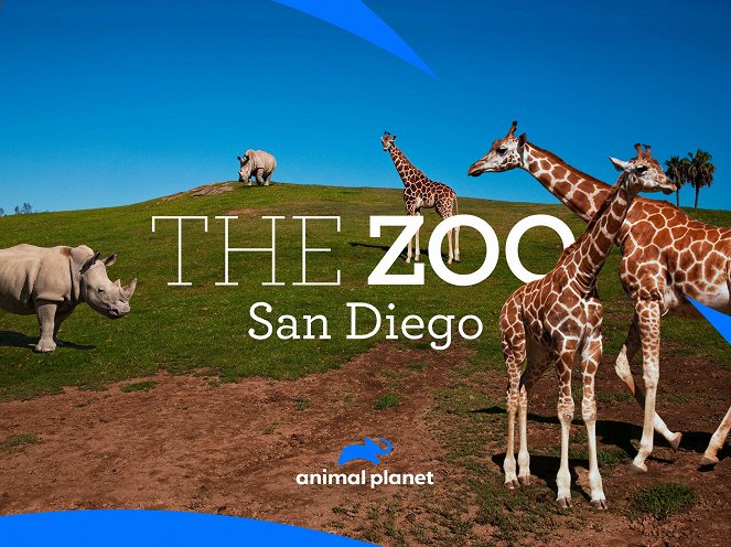 The Zoo: San Diego - Affiches