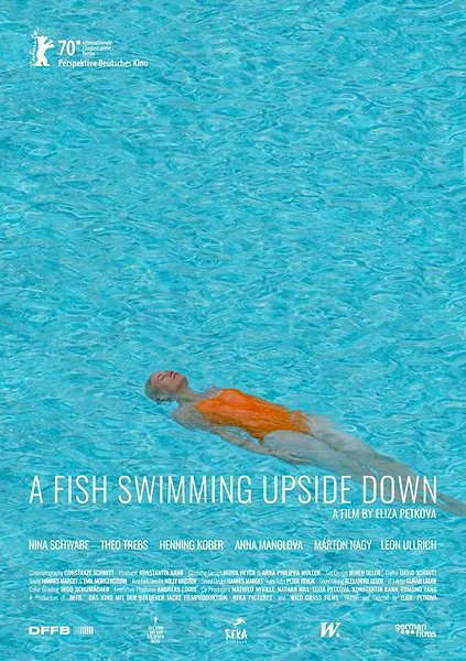 A Fish Swimming Upside Down - Posters