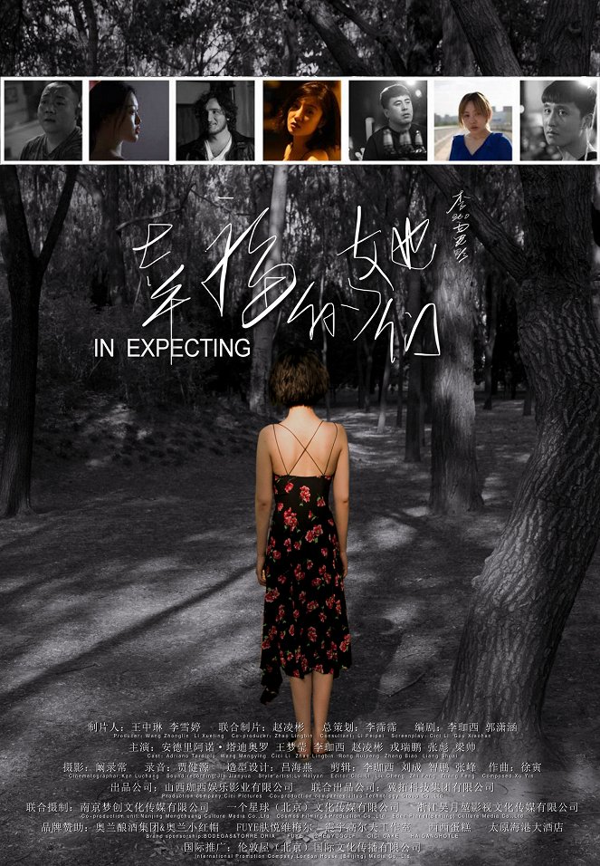 In Expecting - Posters