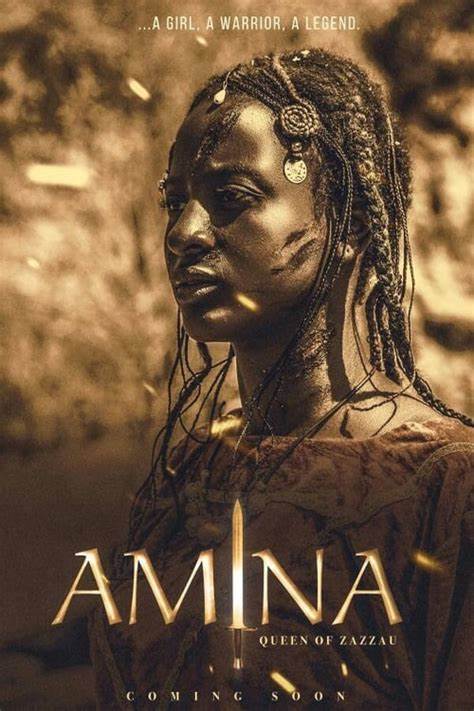 Amina: Bojovnice - Plakáty