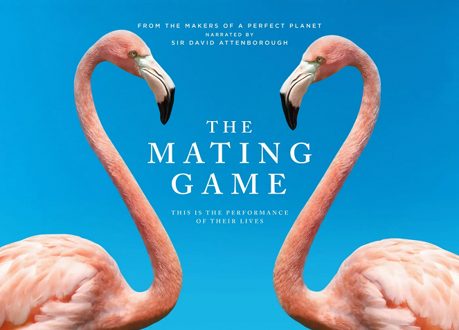 The Mating Game - Affiches