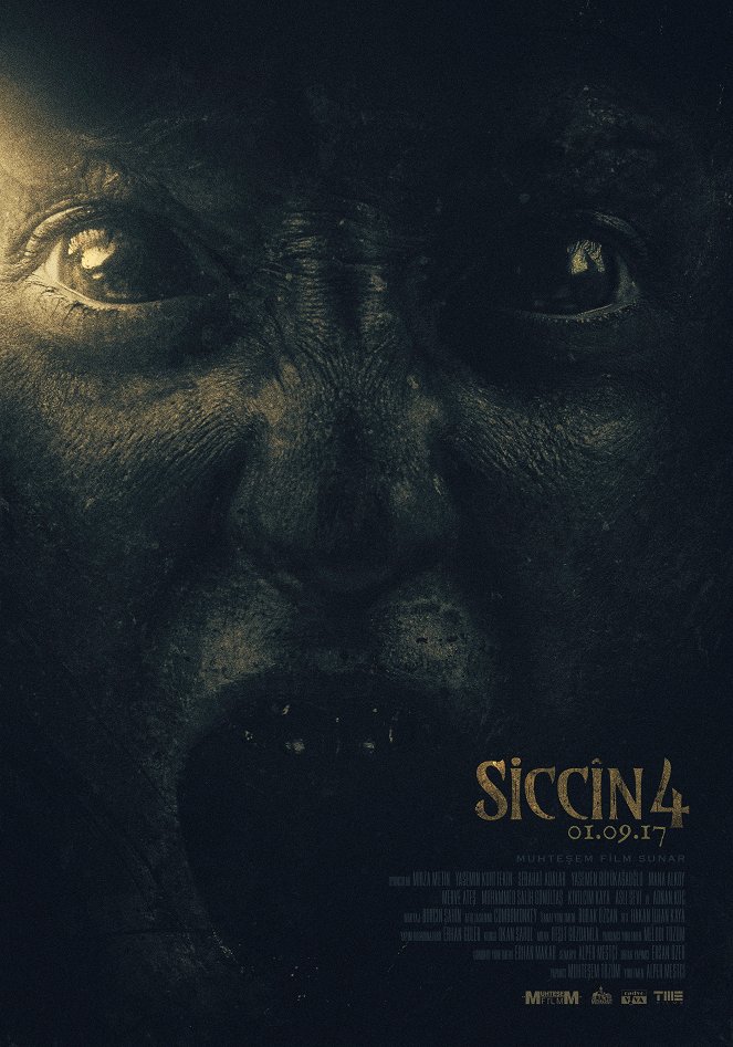 Siccin 4 - Plakate