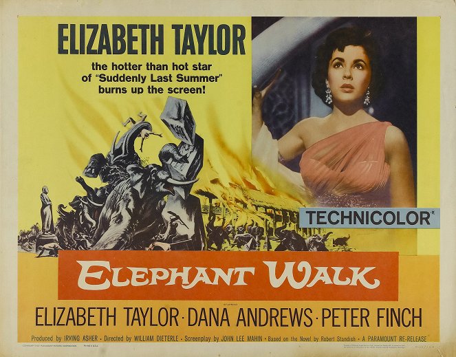 Elefantenpfad - Plakate