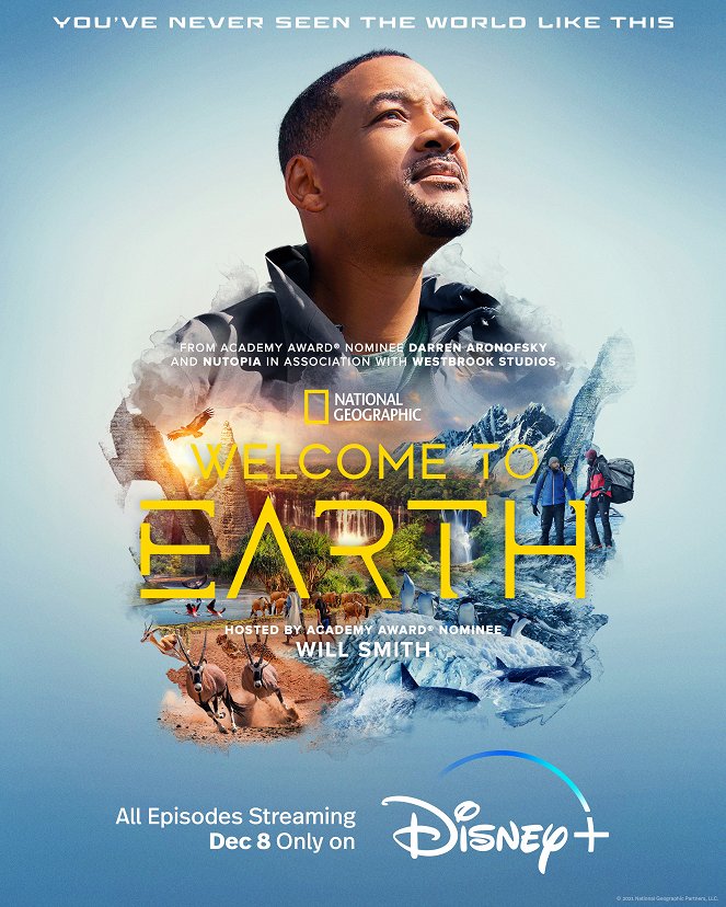 Welcome to Earth - Plakate