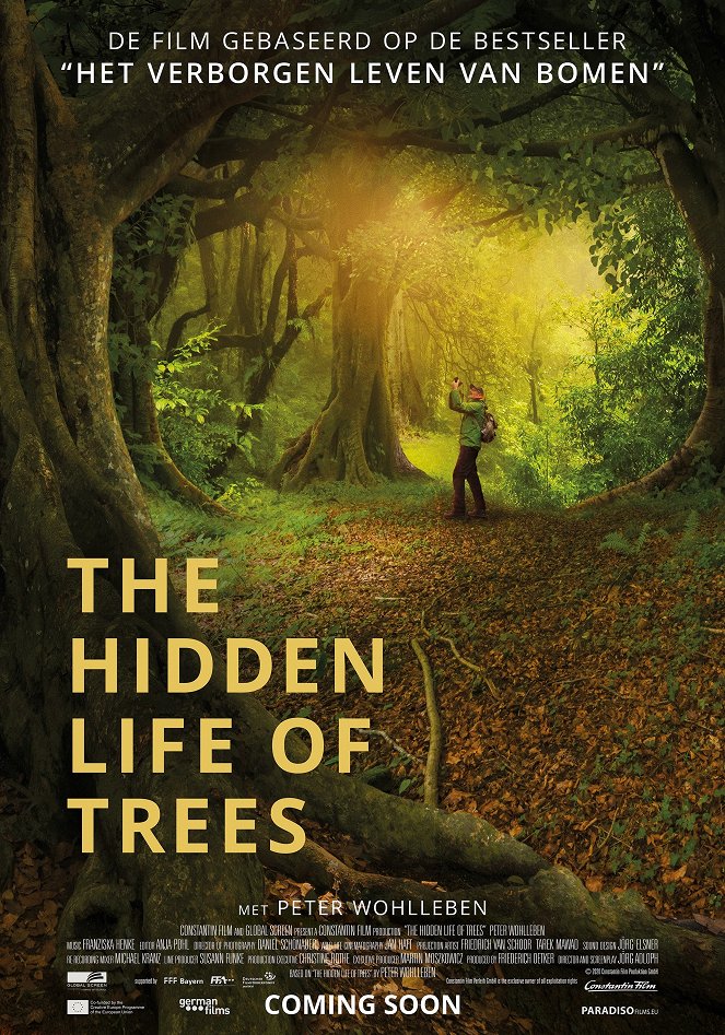Das geheime Leben der Bäume - Posters