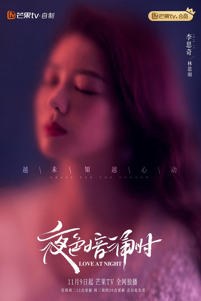 Love at Night - Posters