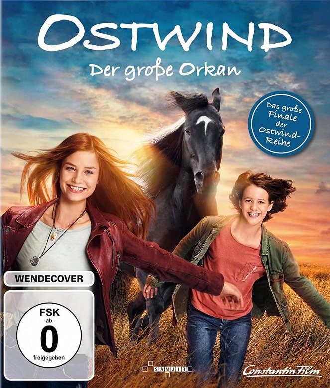 Ostwind - Der große Orkan - Posters