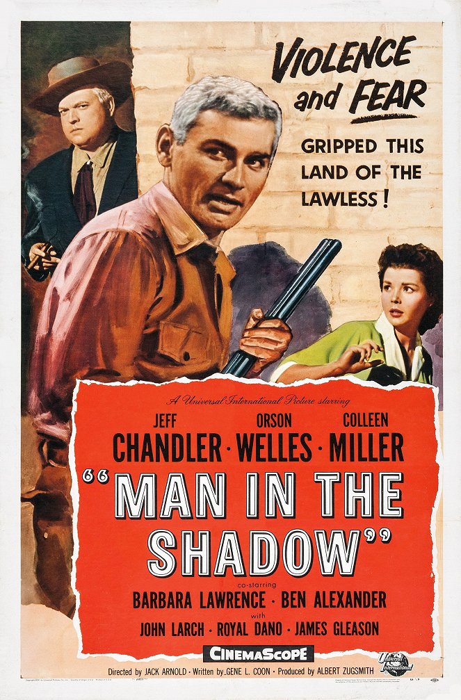 Man in the Shadow - Posters