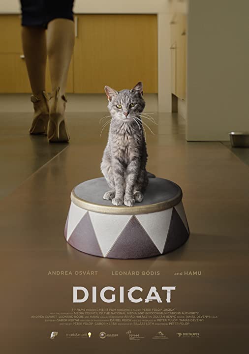 Digicica - Plakate