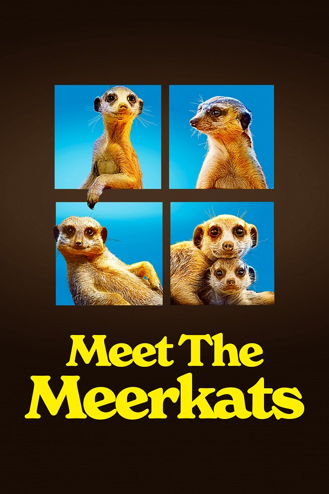 Meet the Meerkats - Plakaty