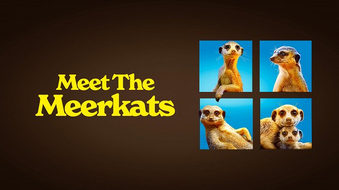 Meet the Meerkats - Carteles