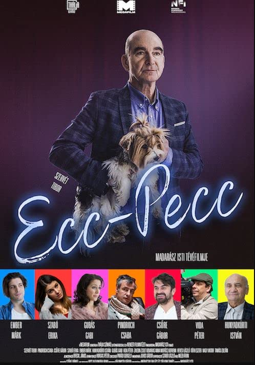 Ecc-pecc - Plakátok