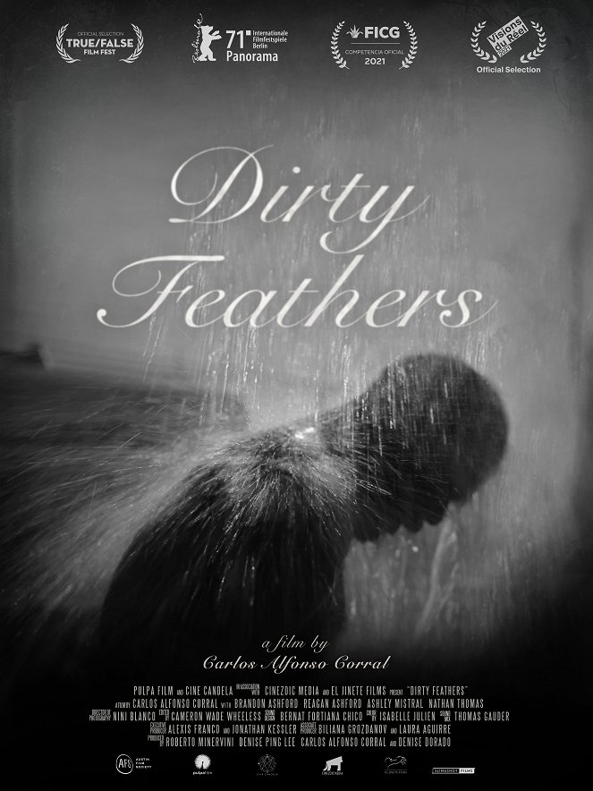 Dirty Feathers - Carteles