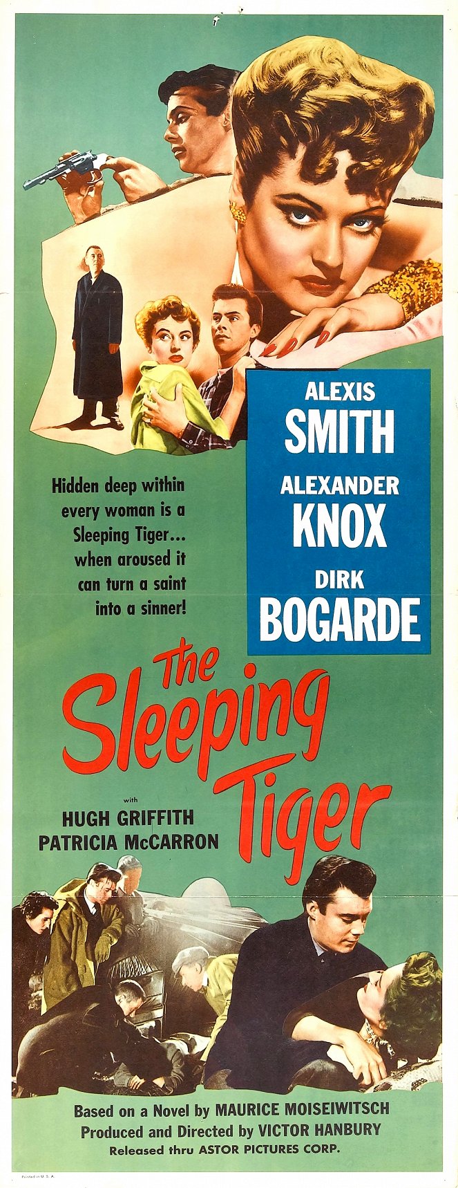 The Sleeping Tiger - Posters