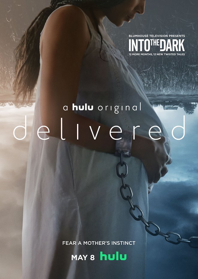 Into the Dark - Into the Dark - Delivered - Posters