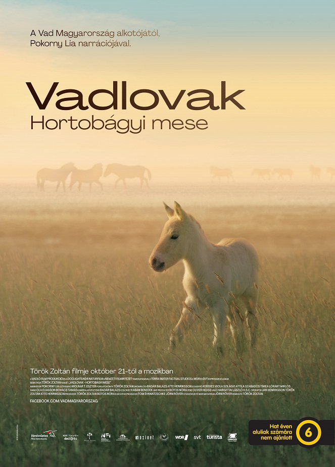 Divocí koně – Příběh z pusty - Plakáty