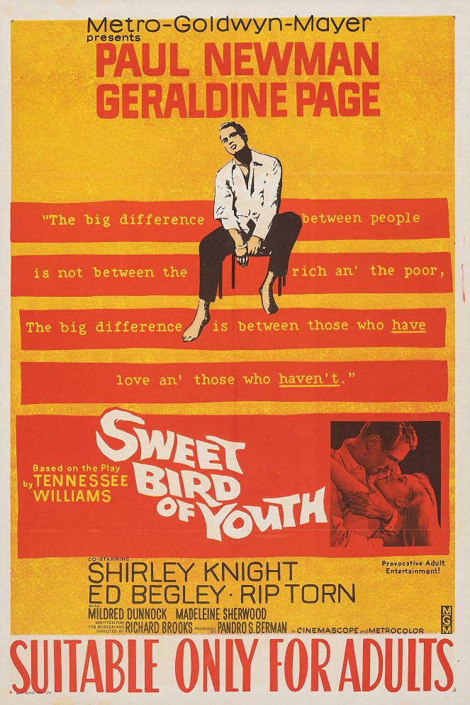 Sweet Bird of Youth - Posters