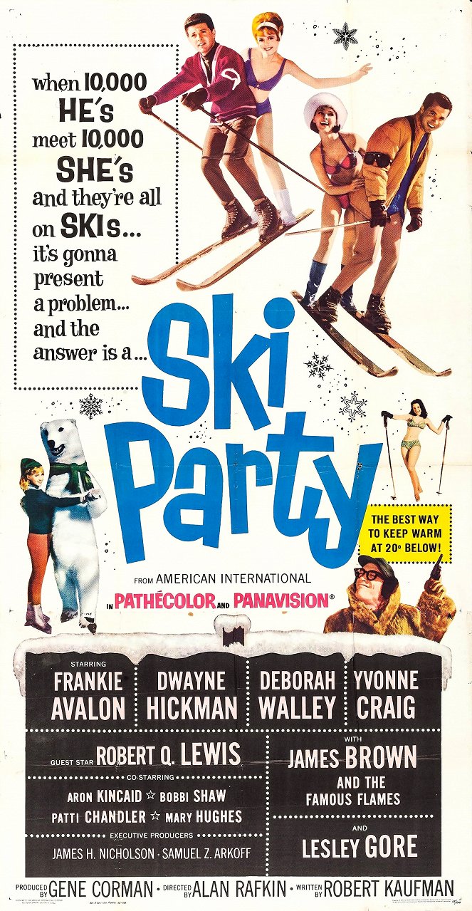 Ski Party - Plakate