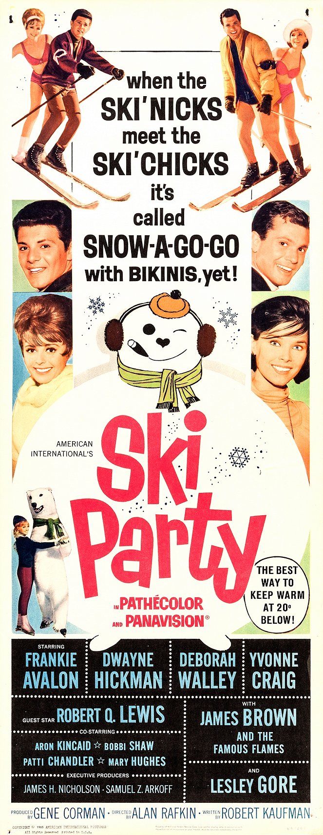 Ski Party - Carteles