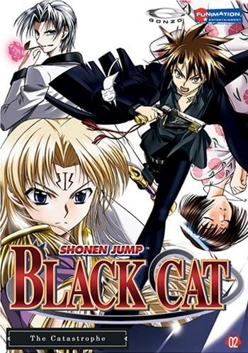 Black Cat - Posters