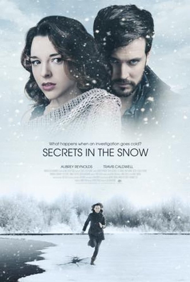 Tajemství ve sněhu - Plakáty