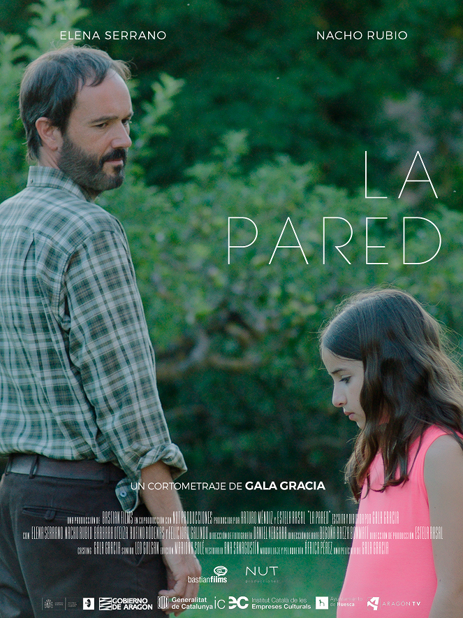 La pared - Affiches