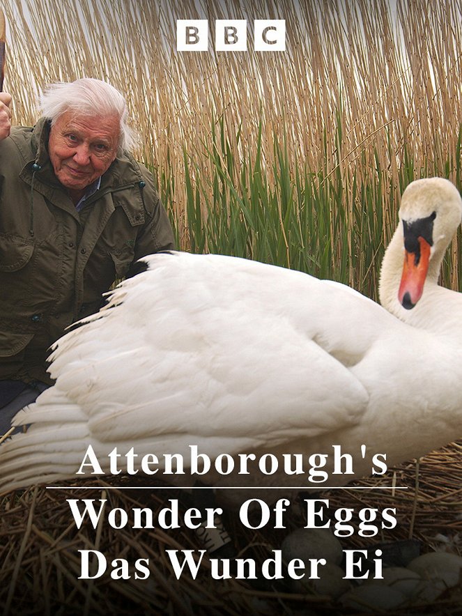 Natural World - Season 37 - Natural World - Attenborough's Wonder of Eggs - Plakate