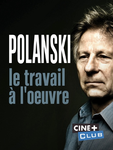 Polanski, le travail à l'oeuvre - Plakate