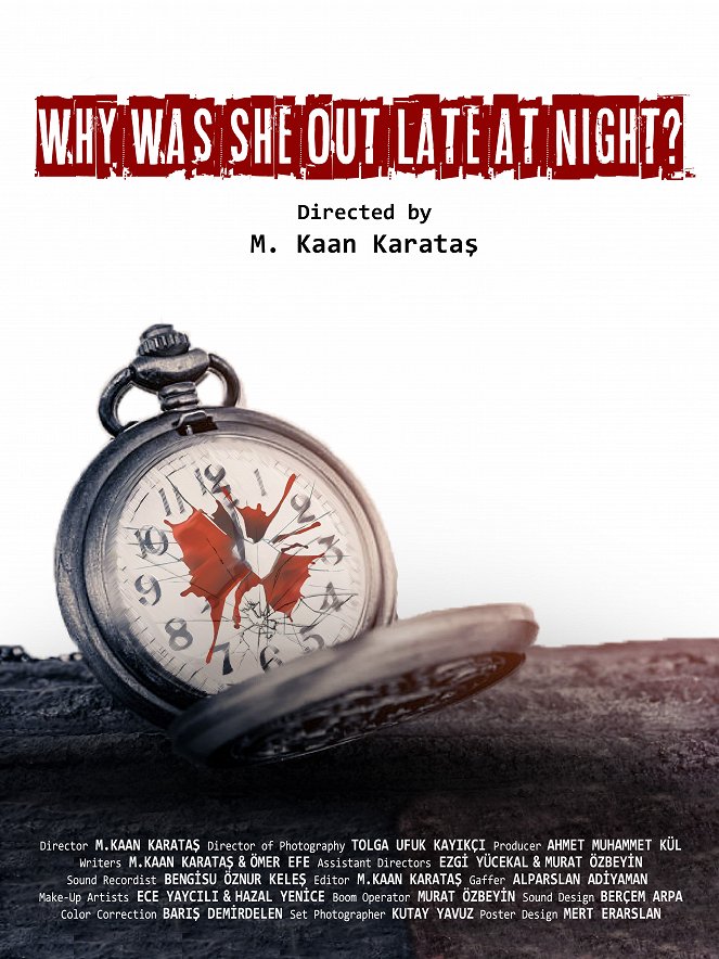 Why Was She Out Late at Night? - Posters