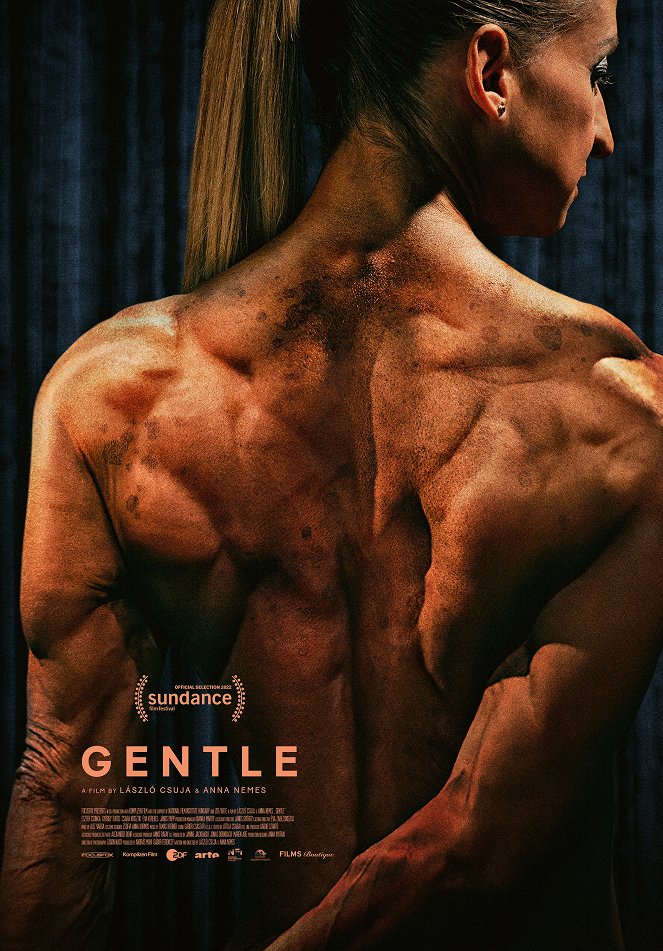 Gentle - Posters