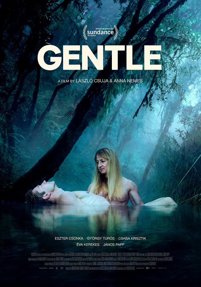 Gentle - Posters