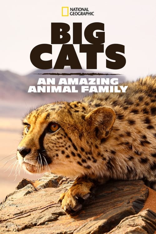 Big Cats: An Amazing Animal Family - Carteles