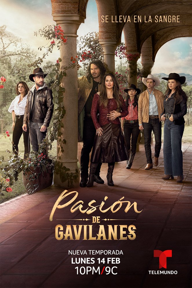 Pasión de Gavilanes - Plakate