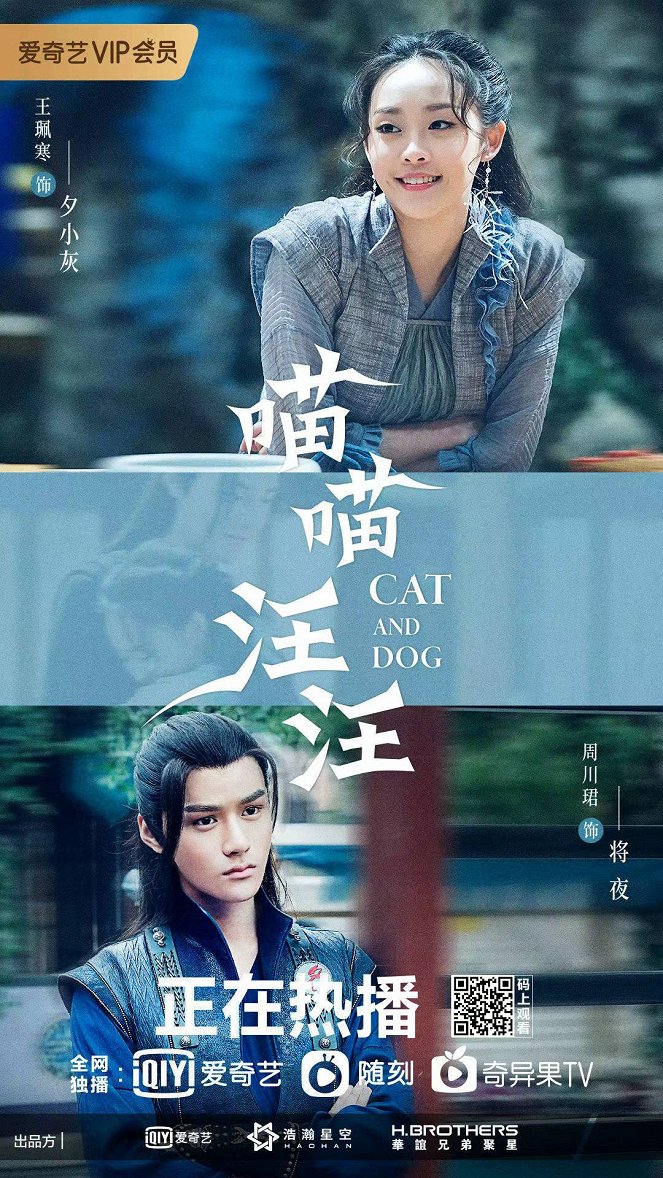 Cat and Dog - Posters