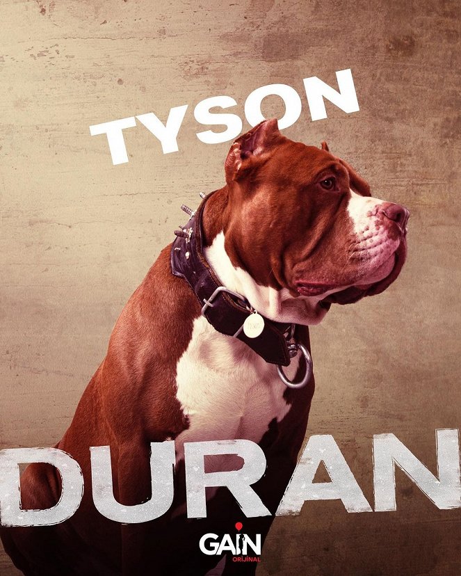 Duran - Plakate