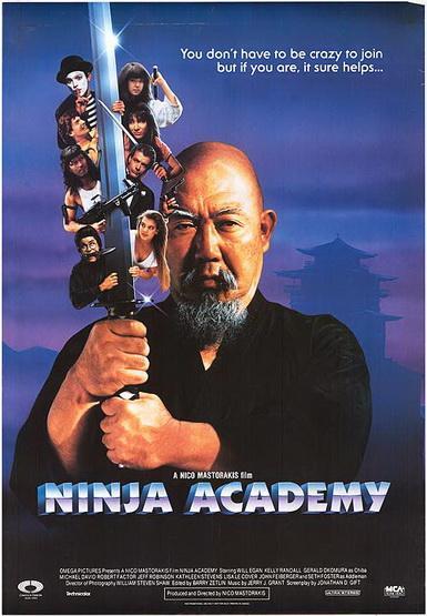 Ninja Academy - Plakátok