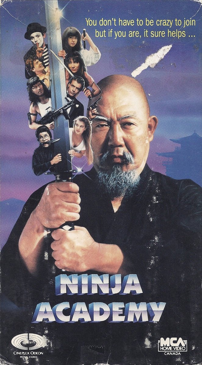 Ninja Academy - Posters
