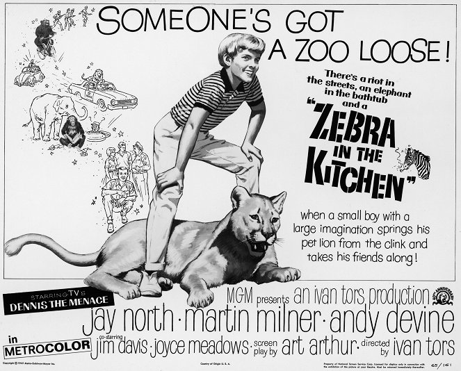 Zebra in the Kitchen - Cartazes